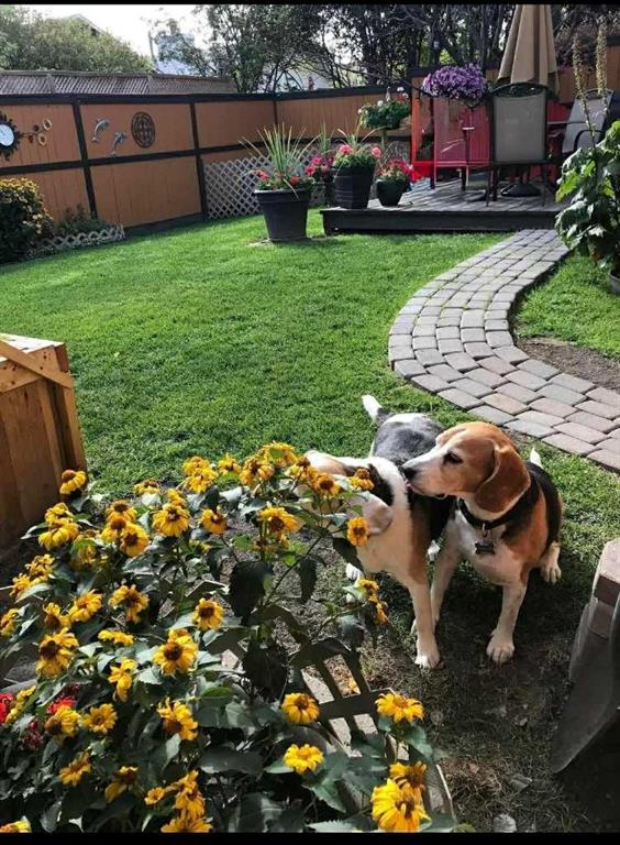 Picture for 4 Cedargrove Way SW