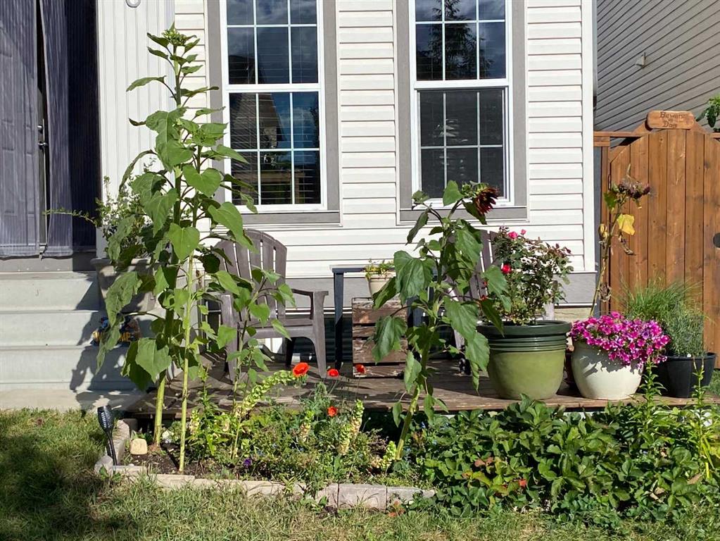 Picture for 6 Elgin Meadows Gardens SE