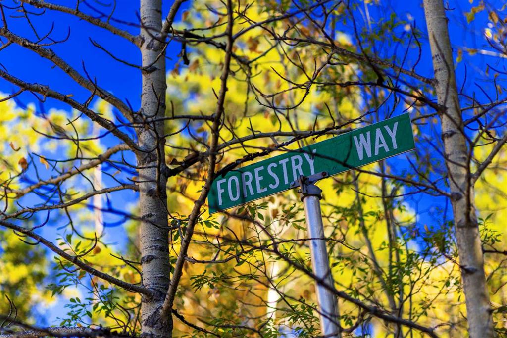 Picture for 231031 Forestry Way 