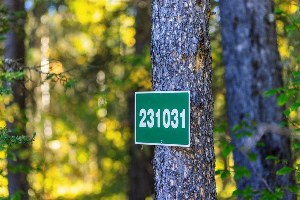 Picture for 231031 Forestry Way 