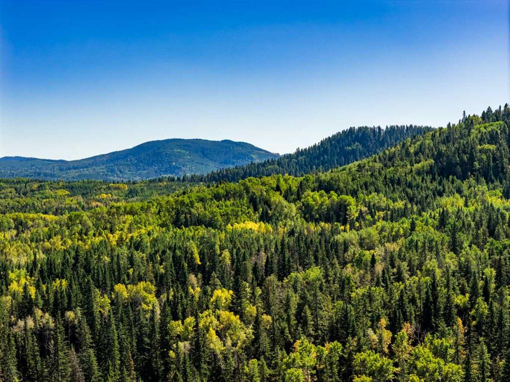 Picture for 231031 Forestry Way 