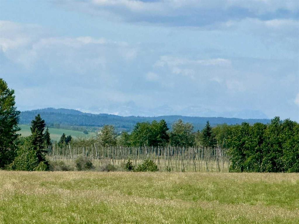 Picture for  RR40 south of Twp Rd 293  