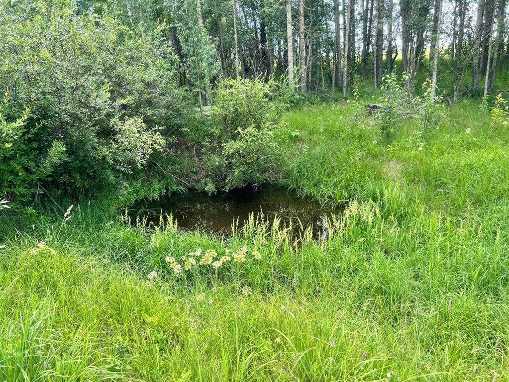 Picture for  RR40 south of Twp Rd 293  