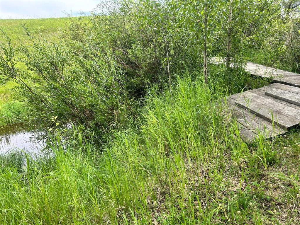 Picture for  RR40 south of Twp Rd 293  