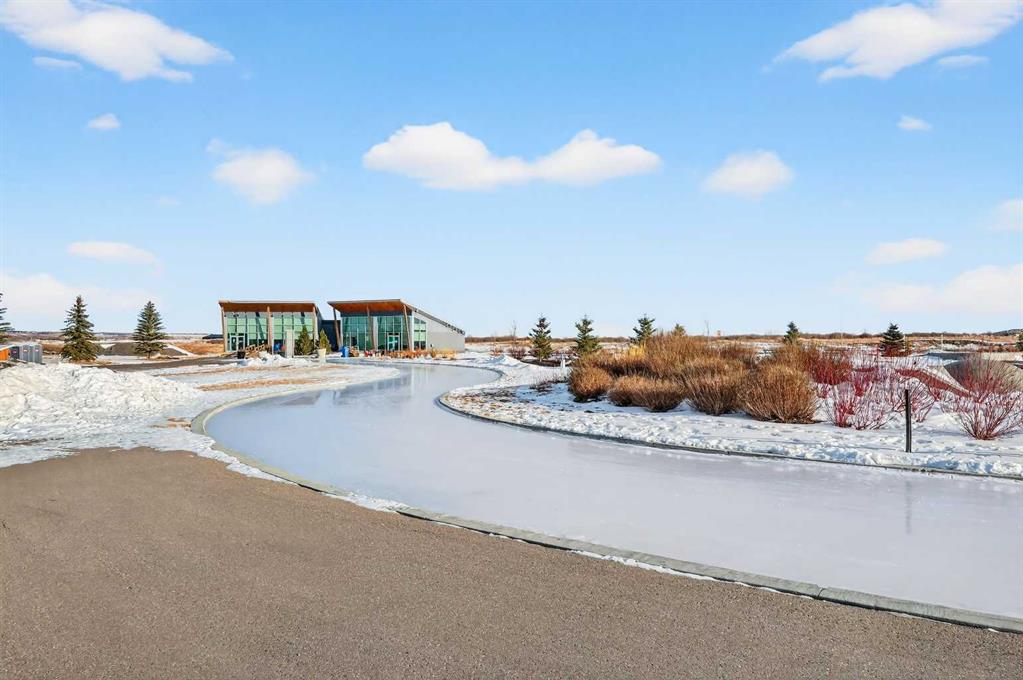 Picture for 1061 Sailfin Heath 