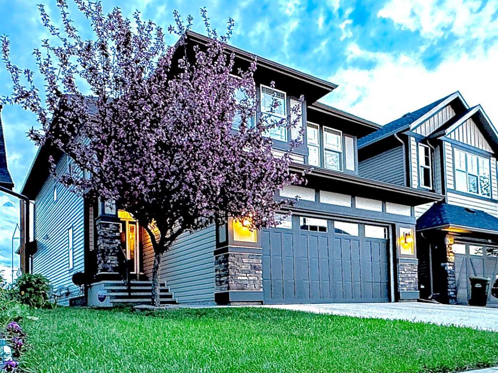 Picture for 41 Chaparral Valley Green SE