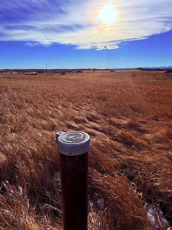 Picture for 42229 Weedon Trail 