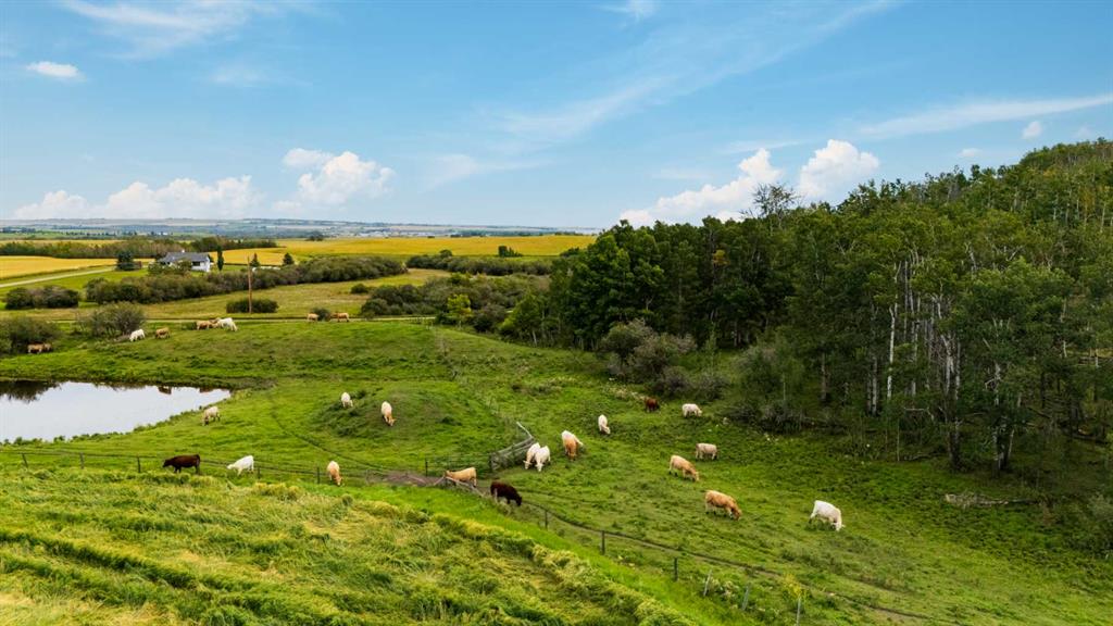 Picture for  402 Avenue 