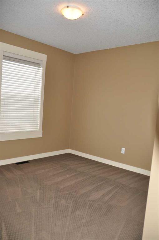 Picture for 233 Rainbow Falls Drive 