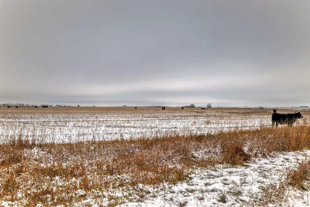 Picture for  Range Road 241  