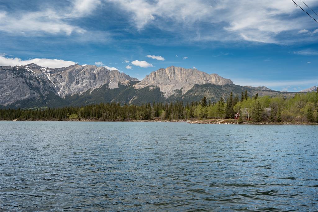 Picture for 25 Bagley Pass  