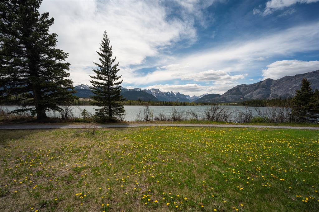 Picture for 25 Bagley Pass  