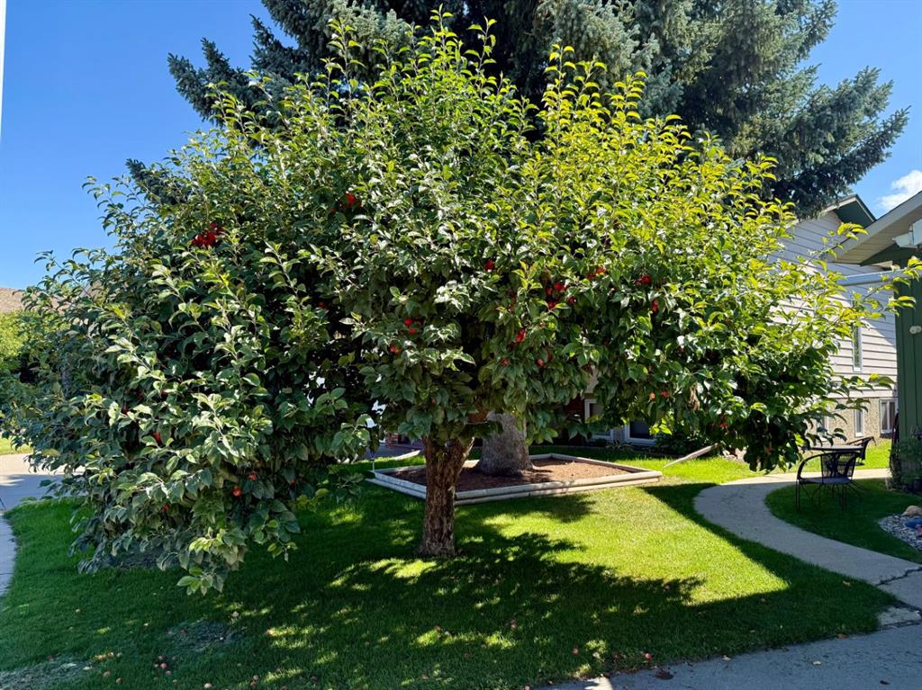 Picture for 807 8 Avenue SE