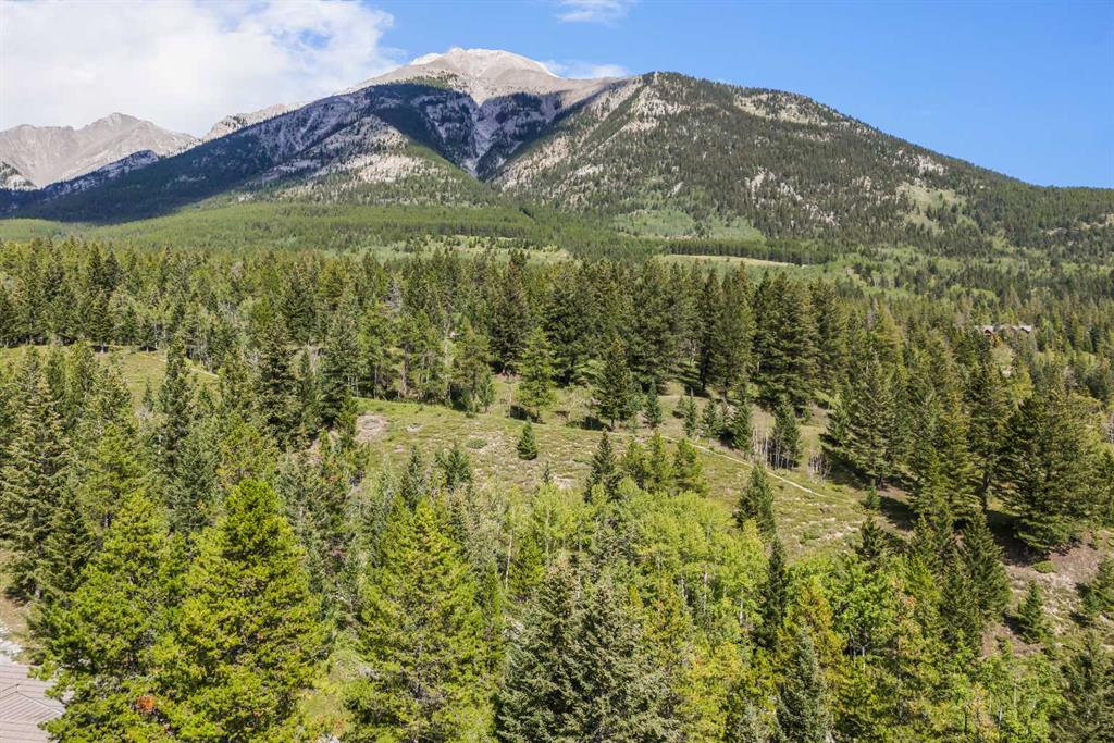 Picture for 24 Blue Grouse Ridge 