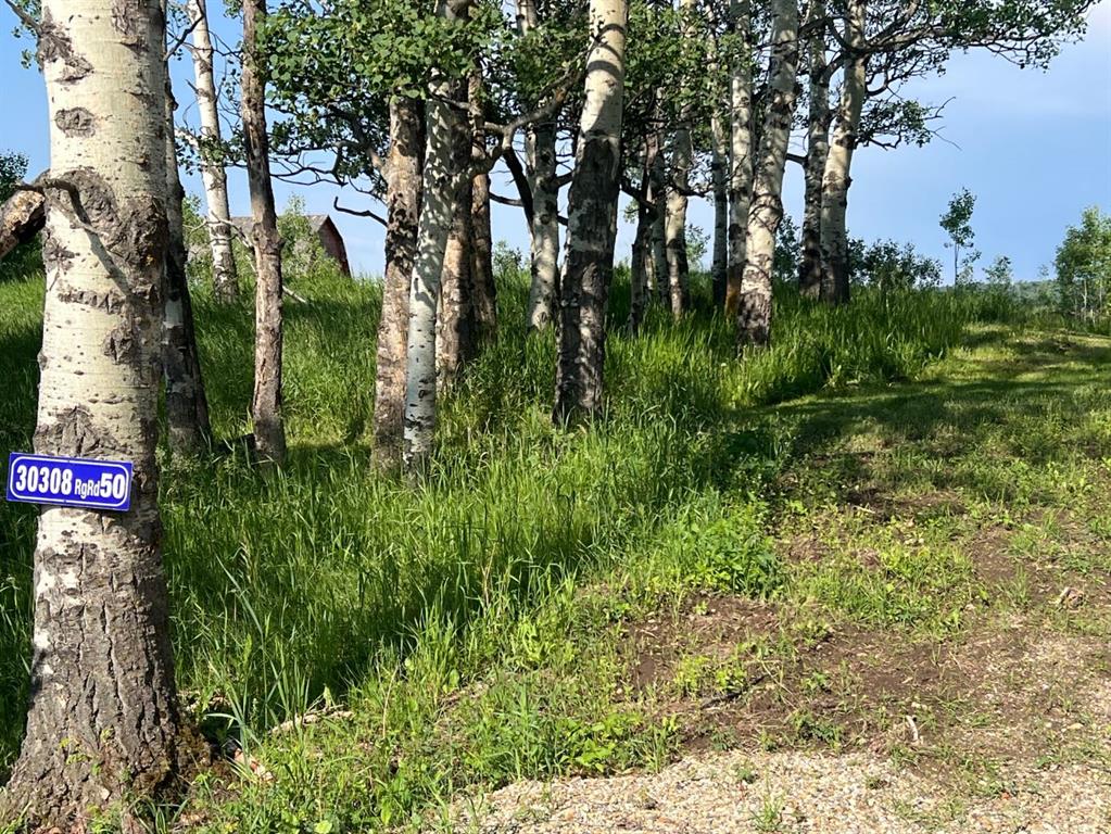 Picture for  30308 RR50  