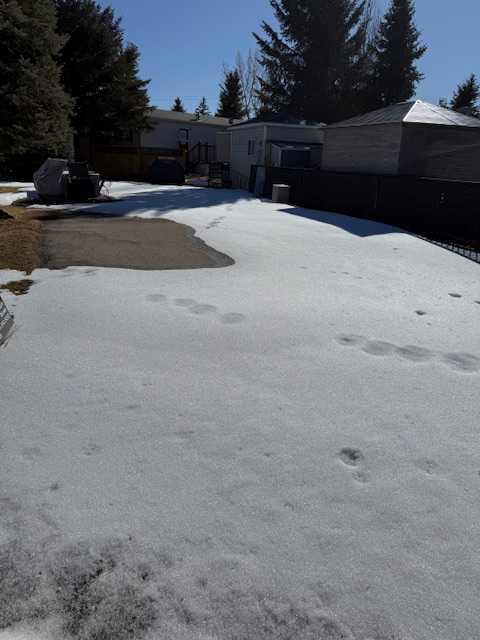 Picture for 50, 370165 79 Street E