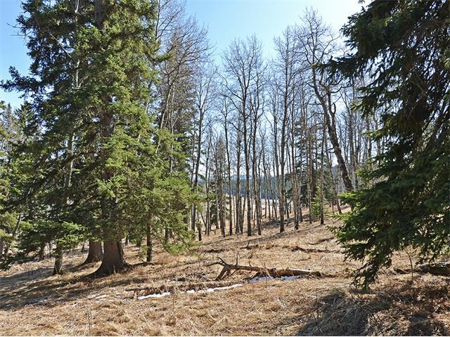 Picture for 15 Kicking Horse Way 