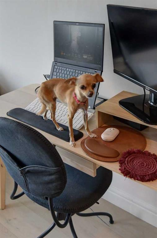 Picture for 903, 817 15 Avenue SW