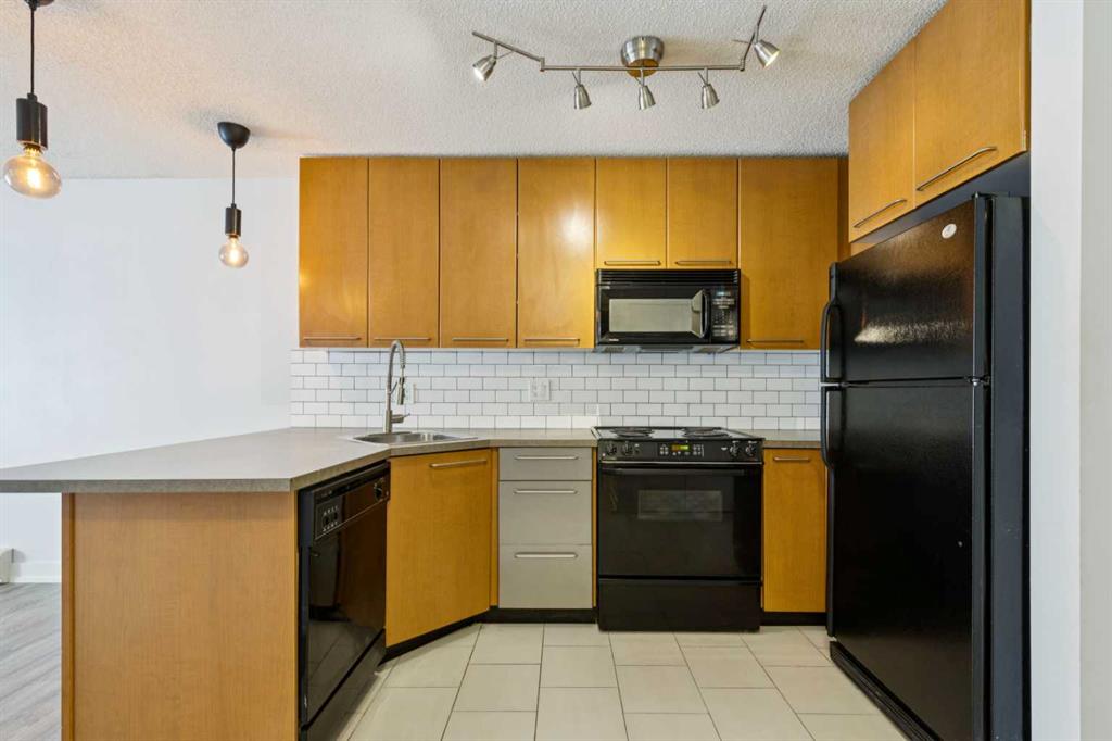 Picture for 205, 35 Richard Court SW