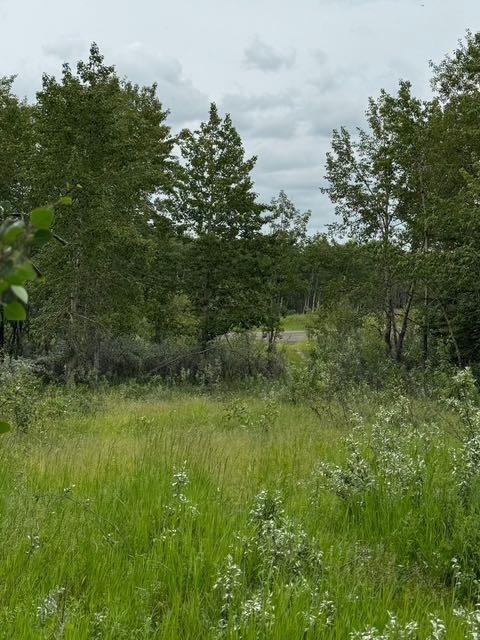 Picture for 48107 233 Avenue East  