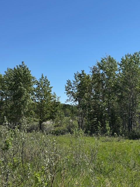 Picture for 48107 233 Avenue East  