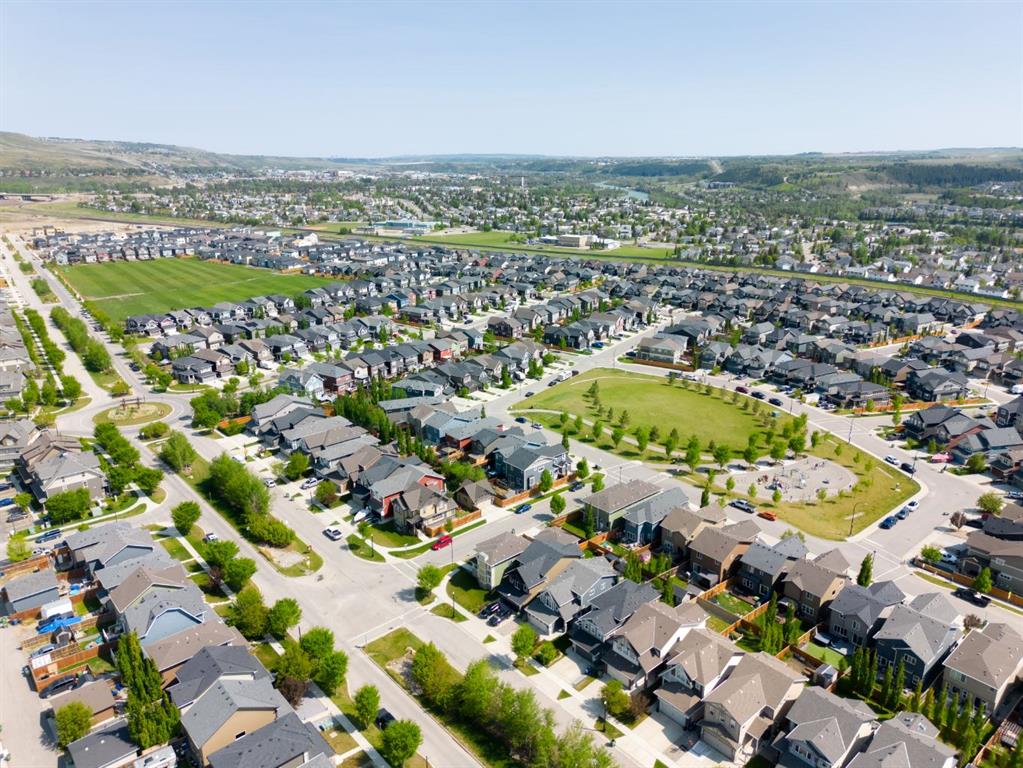 Picture for 103 Saddlebred Link 