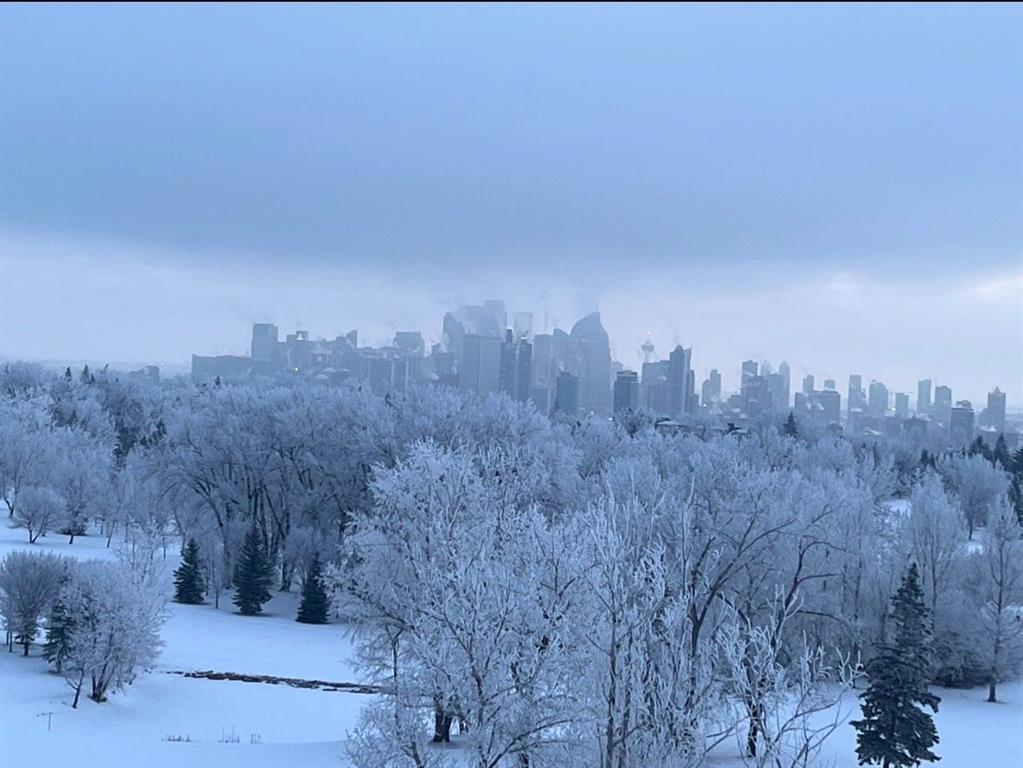 Picture for 602, 99 Spruce Place SW