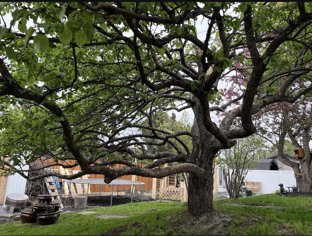 Picture for 218 8 Avenue NE