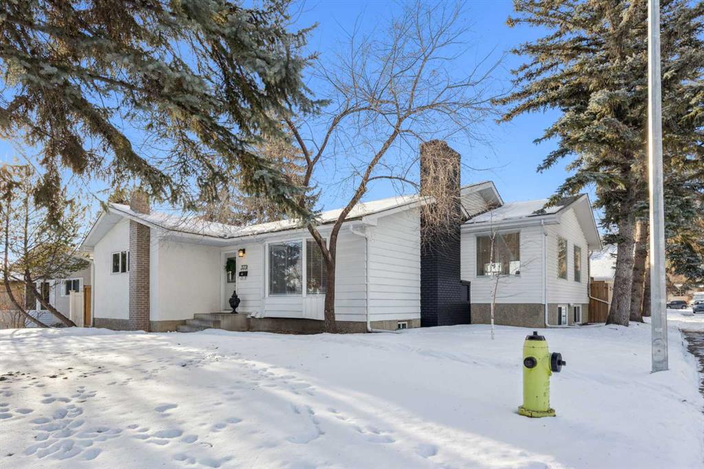 Picture for 3731 45 Street SW