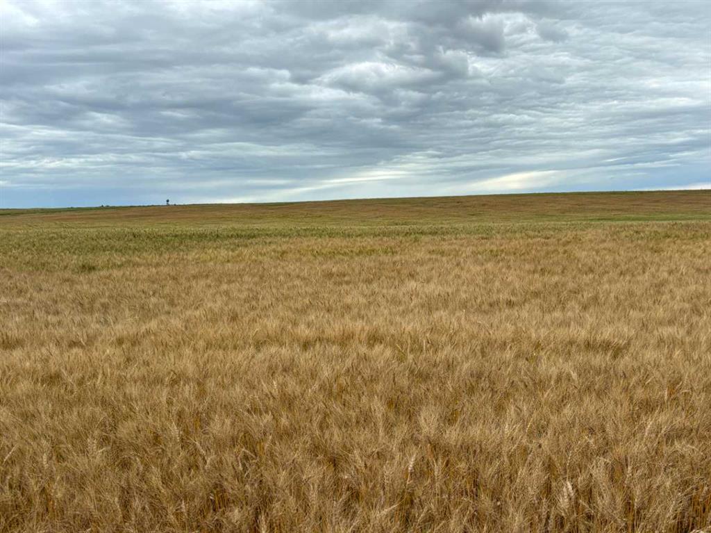 Picture for NE 15 31 27 W4  