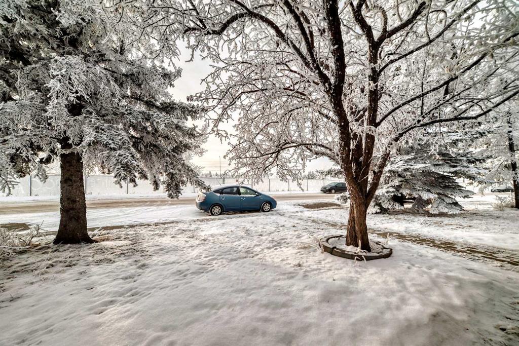 Picture for 203 Falwood Way NE