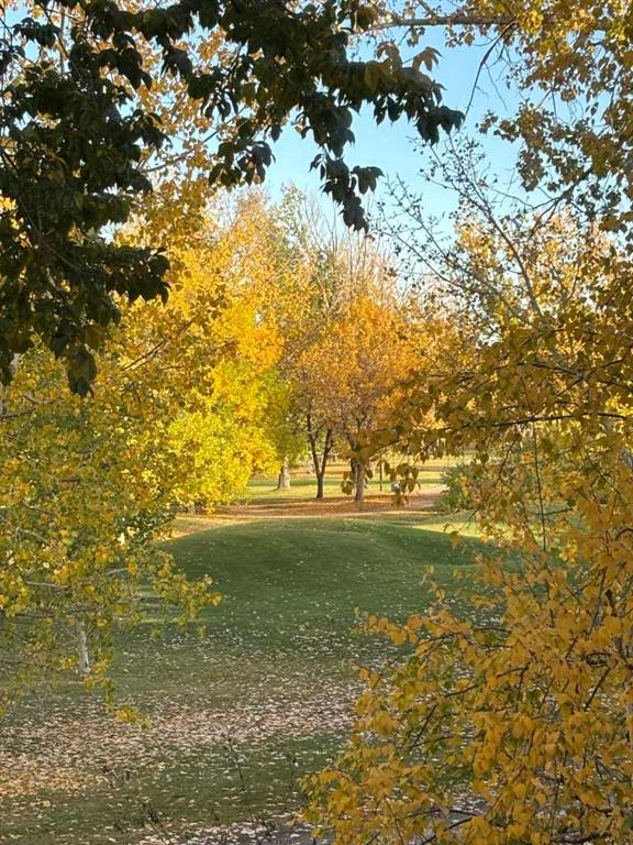 Picture for 7204, 14 Hemlock Crescent SW