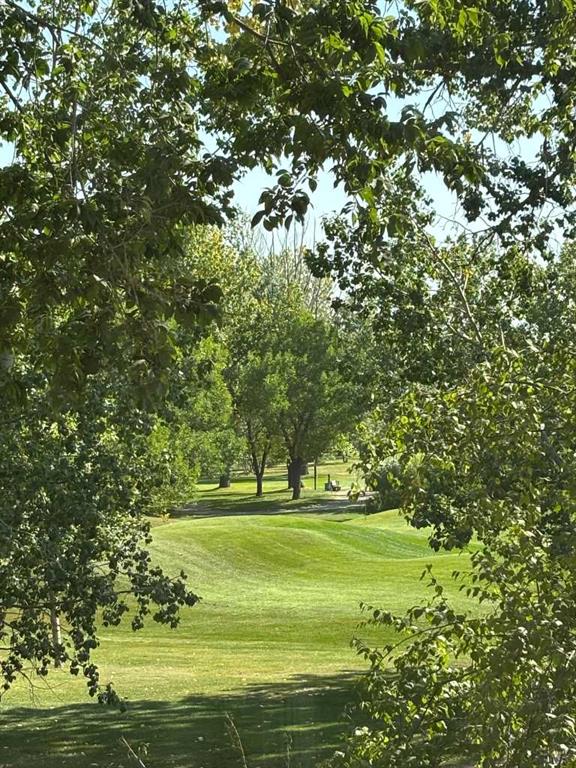 Picture for 7204, 14 Hemlock Crescent SW