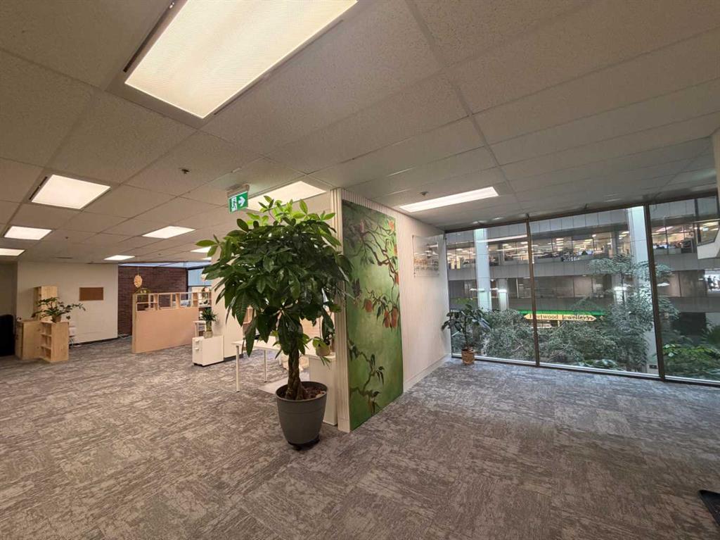 Picture for 206E, 8500 Macleod Trail SE