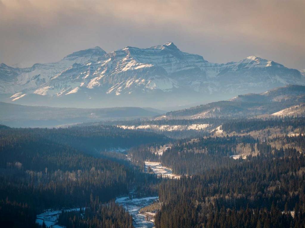 Picture for 16 Forestry Trail W