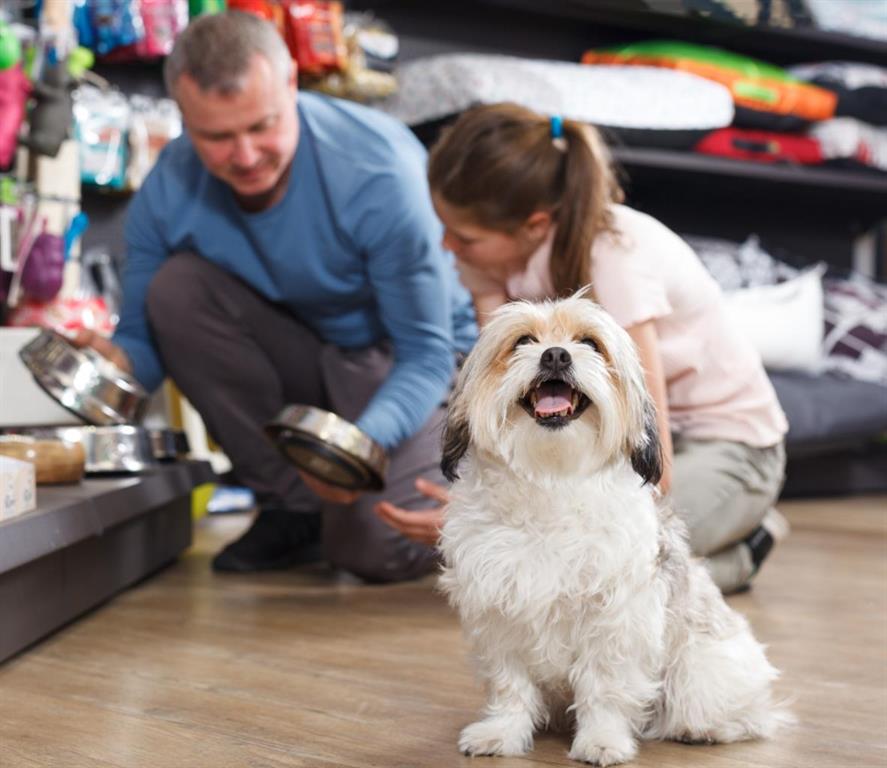 Picture for 123 Pet Store Way  