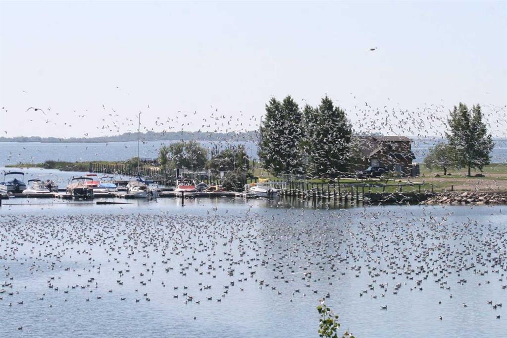 Picture for 95 white pelican View 