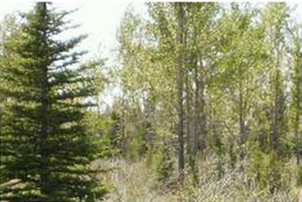 Picture for  Range Road 55  