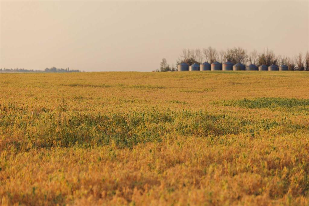 Picture for Parcel 9 Range Road 271 just south of Highway 9  