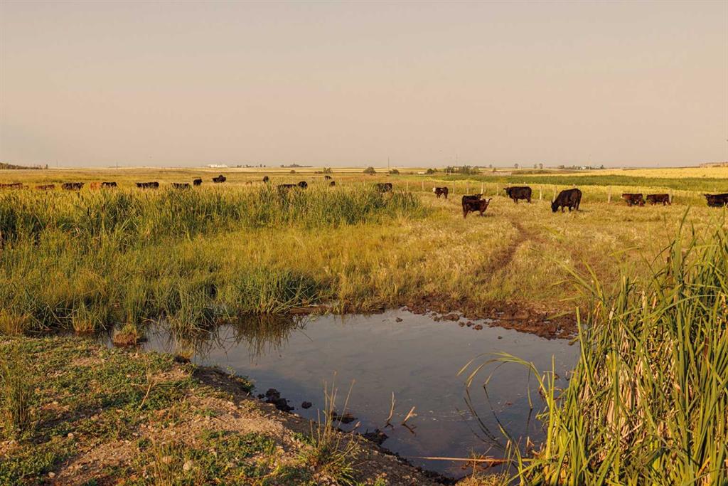 Picture for Parcel 9 Range Road 271 just south of Highway 9  