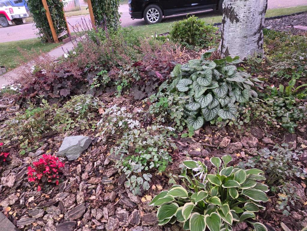 Picture for 382 Ellis Crescent SE