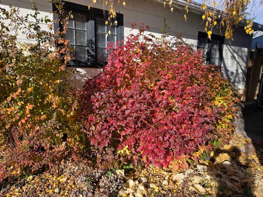 Picture for 382 Ellis Crescent SE