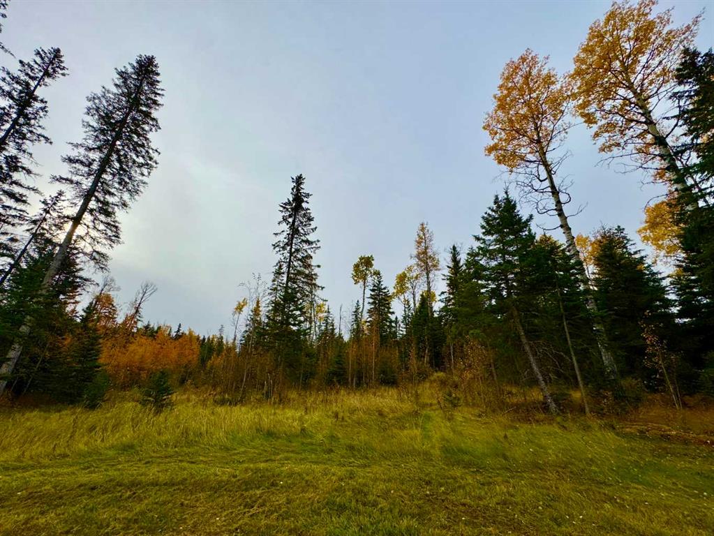Picture for 103 Meadow Ponds Drive  https://www.cirrealty.ca/reb/creb/92/A2264692_2.jpg