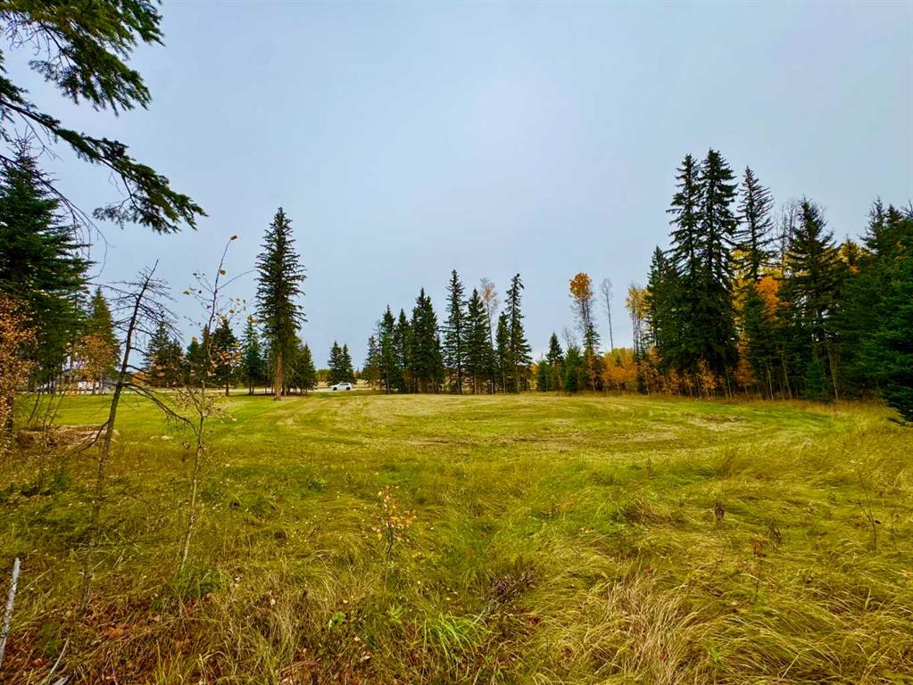 Picture for 103 Meadow Ponds Drive  https://www.cirrealty.ca/reb/creb/92/A2264692_3.jpg