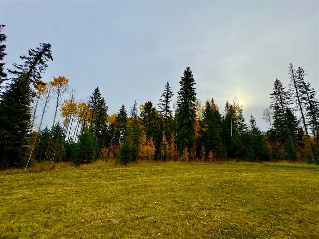 Picture for 103 Meadow Ponds Drive  https://www.cirrealty.ca/reb/creb/92/A2264692_4.jpg