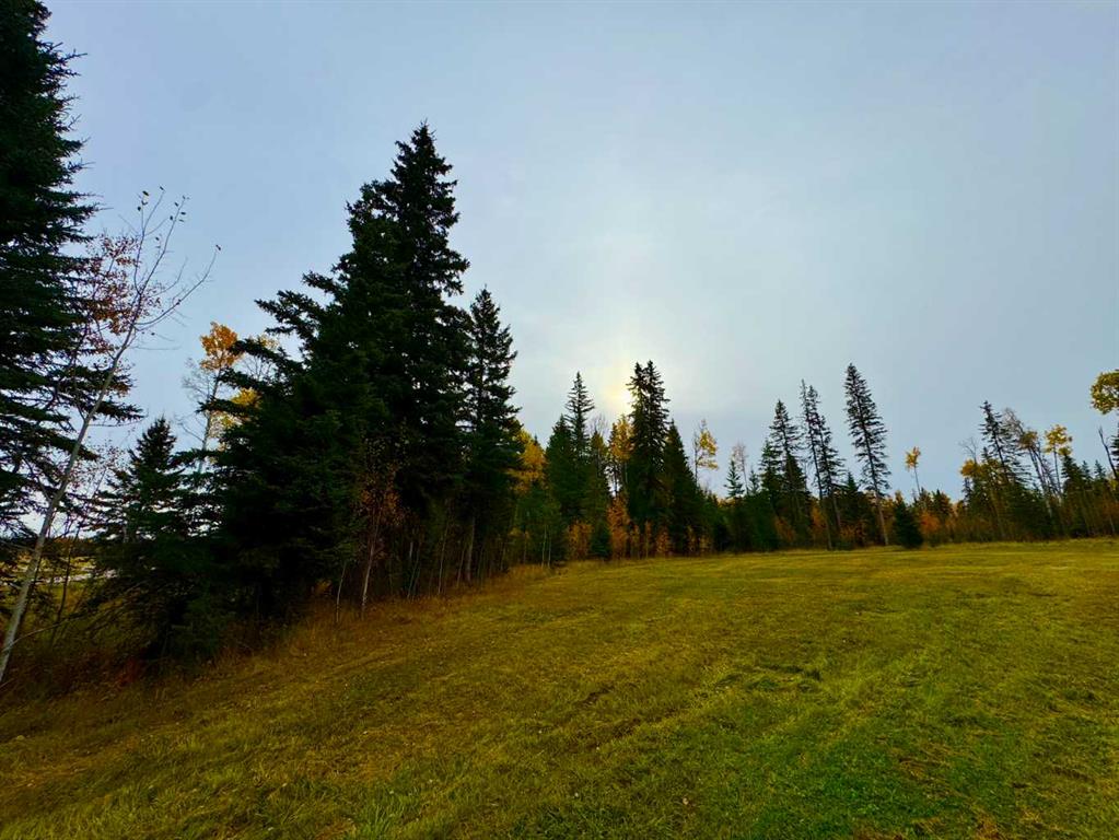 Picture for 103 Meadow Ponds Drive  https://www.cirrealty.ca/reb/creb/92/A2264692_5.jpg