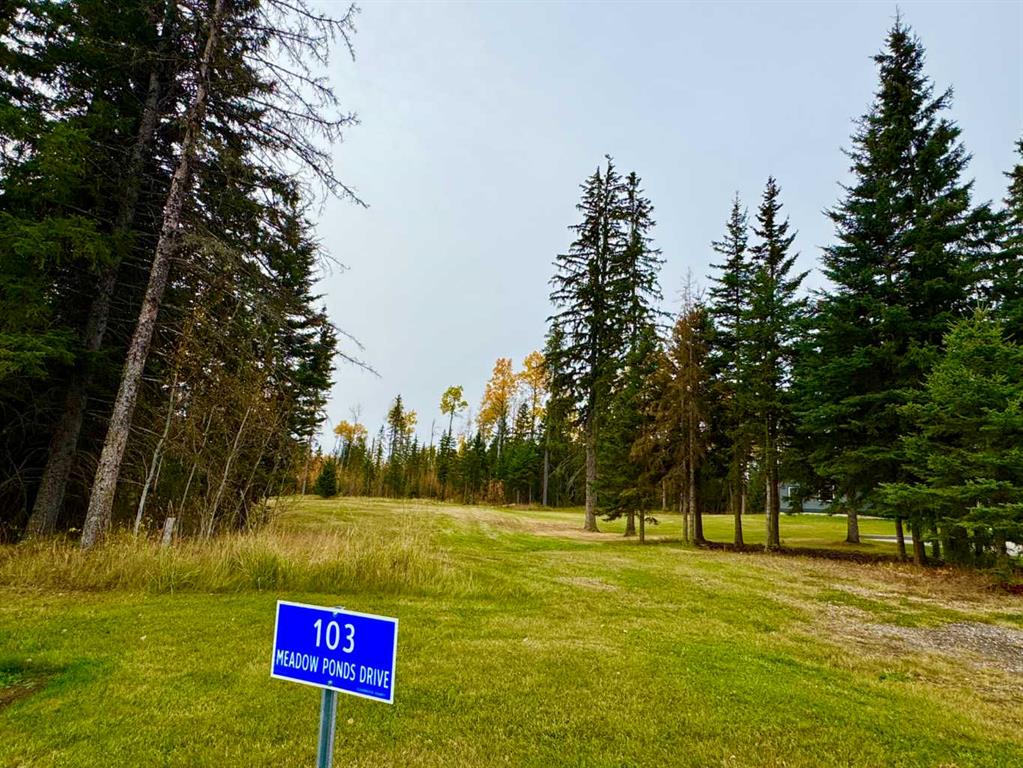 Picture for 103 Meadow Ponds Drive  https://www.cirrealty.ca/reb/creb/92/A2264692_8.jpg