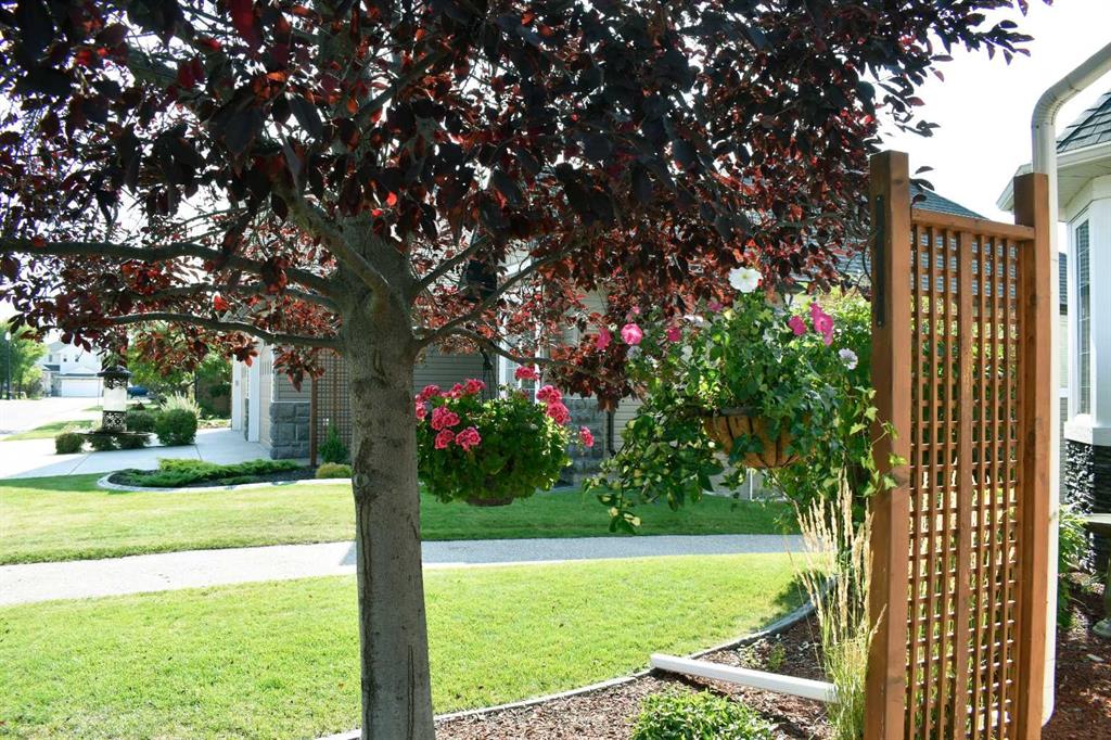 Picture for 160 SIENNA Passage 