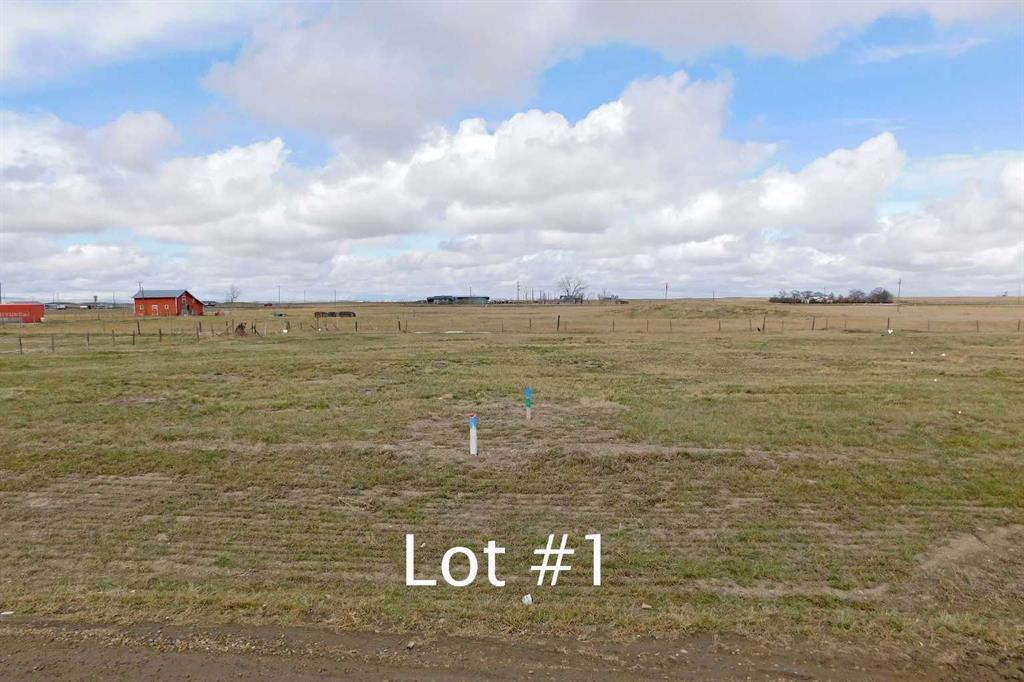 Picture for 117 Argyle Street  