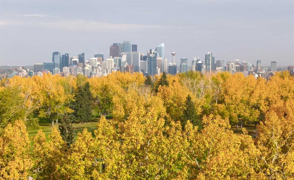 Picture for 3803, 24 Hemlock Crescent SW